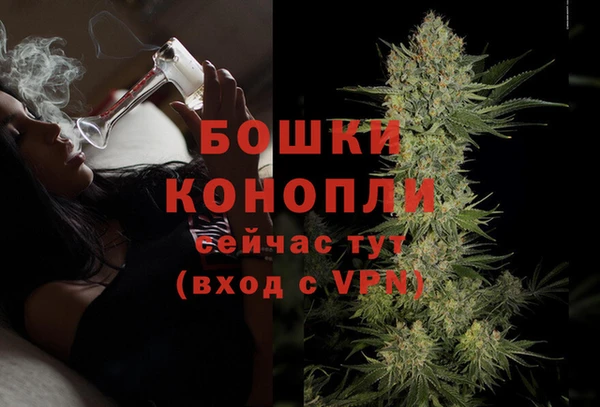 соль ск Кулебаки