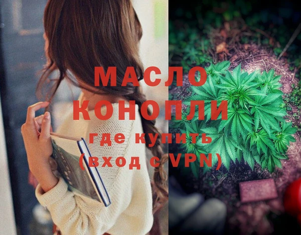 гашик Коряжма