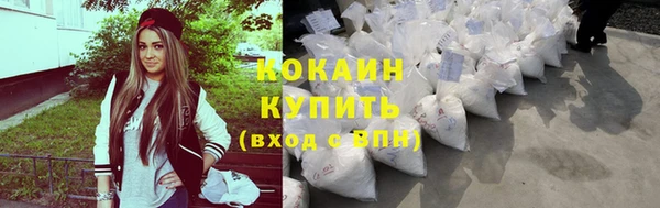 соль ск Кулебаки