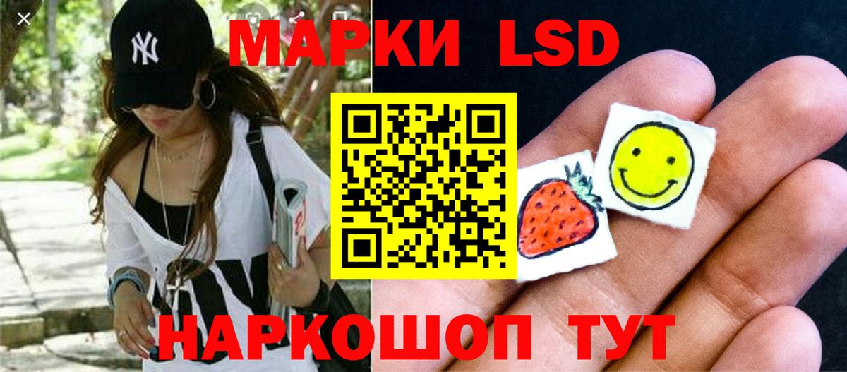 Галлюциногенные грибы Кудымкар