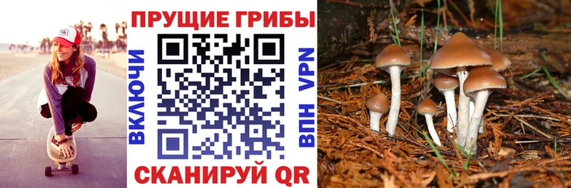 цены   Кудымкар  это формула  Псилоцибиновые грибы GOLDEN TEACHER 