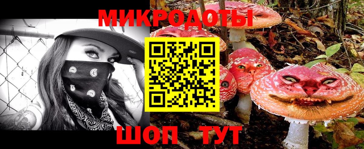 Псилоцибиновые грибы прущие грибы Кудымкар